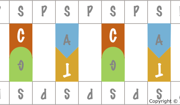 3.1. DNA: Structure and Function